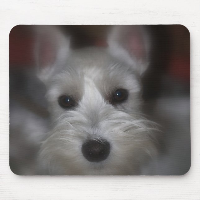 Mousepad Doce Rosto Branco Sapateiro Puppy (Frente)