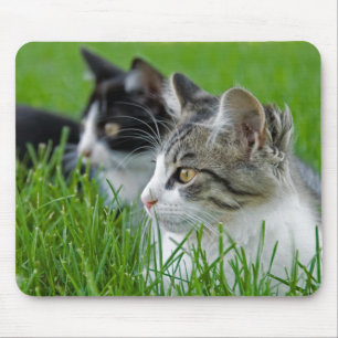 Mousepad Doces Kittens