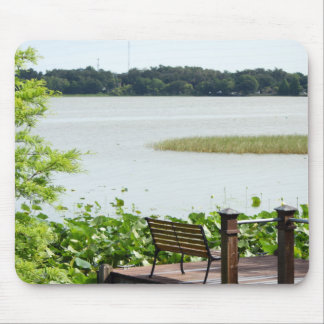 Mousepad Dock no lago Hollingsworth