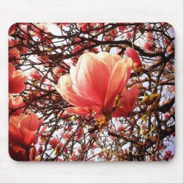 Mousepad Doenças do