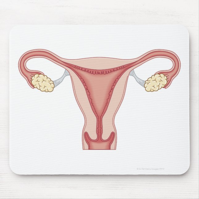 Mousepad Doenças dos órgãos genitais femininos 2 (Frente)