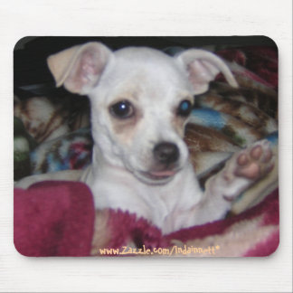Mousepad Dog-MousePad. bonito