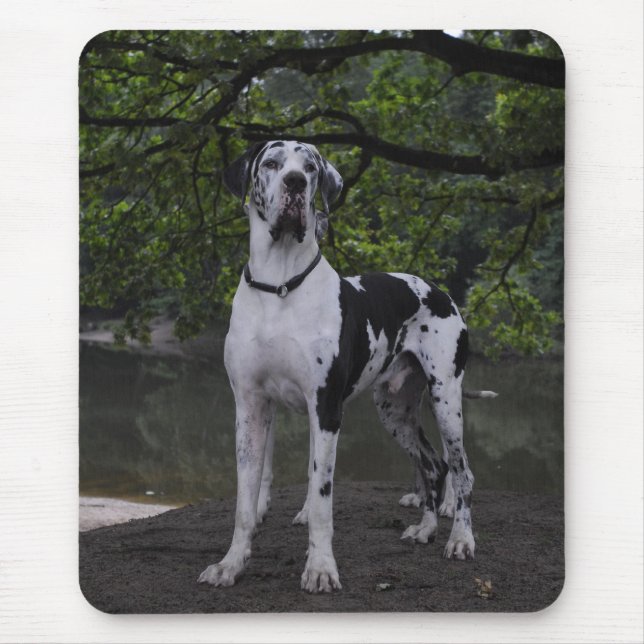 Mousepad Dogge Ares (Frente)