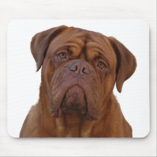 Mousepad Dogue de Bourdeaux