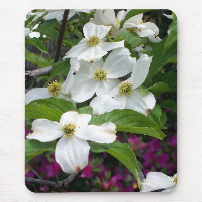 Mousepad dogwood (Frente)