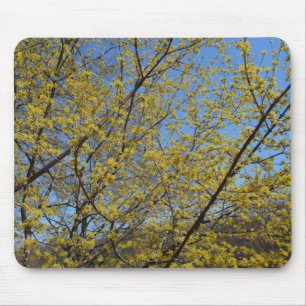 Mousepad Dogwood da cereja de cornalina e céu azul florais