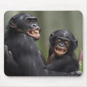 Mousepad Dois Bonobos de sorriso