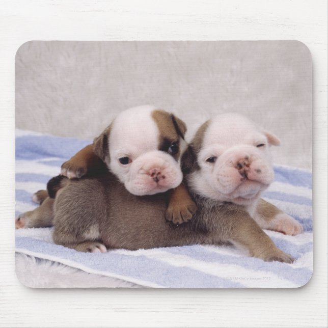 Mousepad Dois cachorrinhos na toalha (Frente)