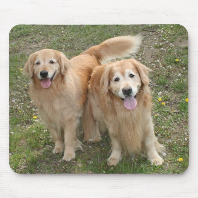 Mousepad Dois Cachorros de Retriever de Ouros Sorridentes n (Frente)
