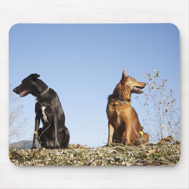 Mousepad Dois cachorros olhando em direções opostas. (Frente)