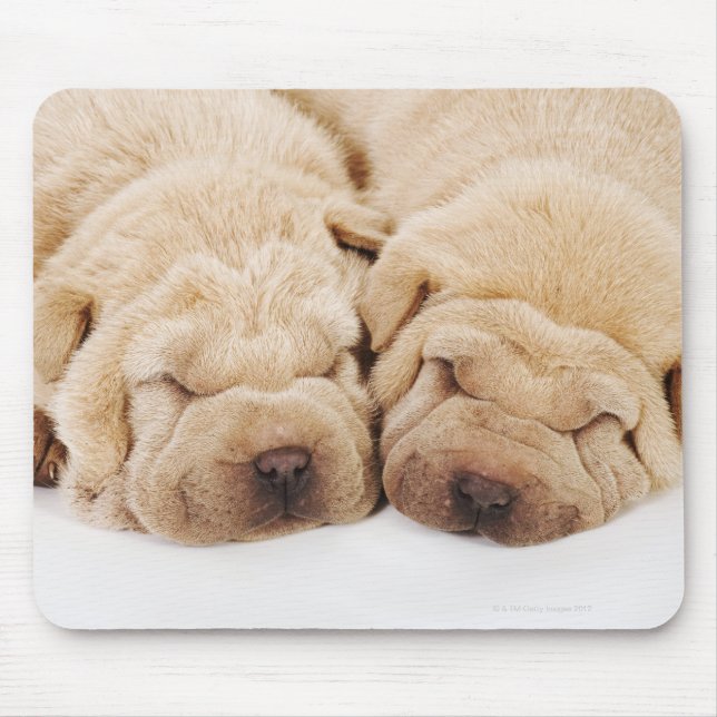Mousepad Dois cachorros Shar Pei dormindo (Frente)