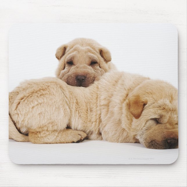 Mousepad Dois cachorros Shar Pei dormindo, tiro de estúdio (Frente)