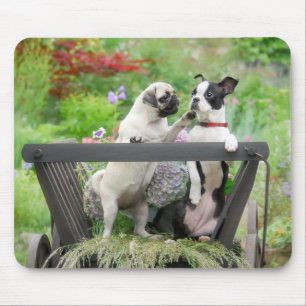 Mousepad Dois cachorros um cachorrinho e Boston Terrier num