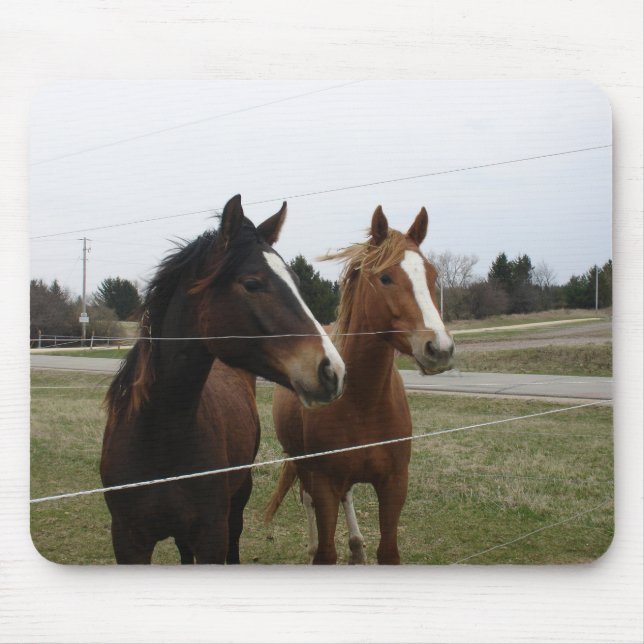 Mousepad Dois Cavalos (Frente)