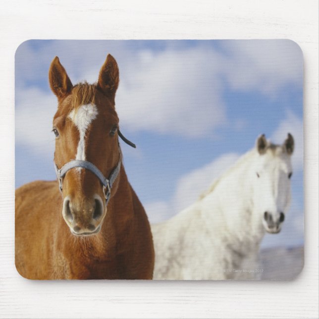 Mousepad Dois Cavalos (Frente)