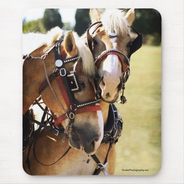 Mousepad Dois Cavalos Belgas (Frente)