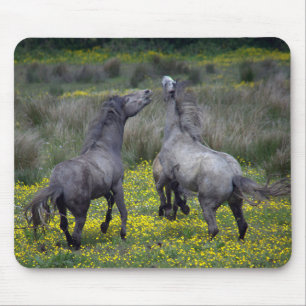 Mousepad Dois Cavalos Buck e Play