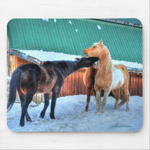 Mousepad Dois Cavalos Jogando Com Fotografia De Equídeos En
