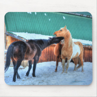 Mousepad Dois Cavalos Jogando Com Fotografia De Equídeos En