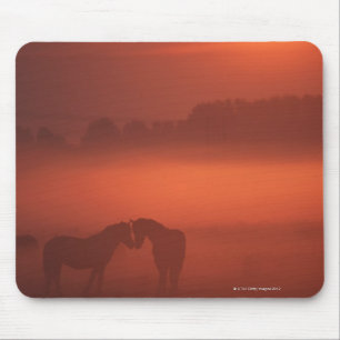 Mousepad Dois cavalos no por do sol