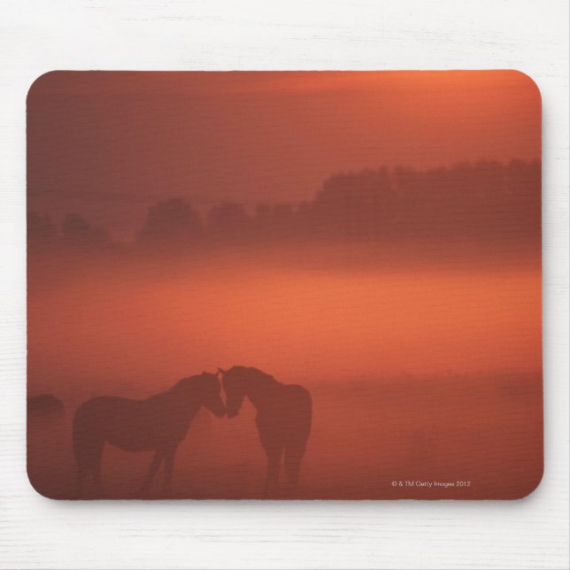 Mousepad Dois cavalos no pôr do sol (Frente)