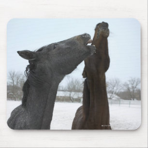 Mousepad dois cavalos que neighing
