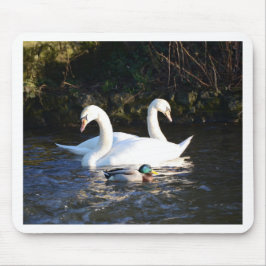 Mousepad Dois Cisnes E Um Pato