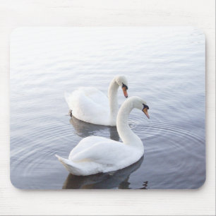 Mousepad Dois Cisnes Nadando no Lago Tranquilo