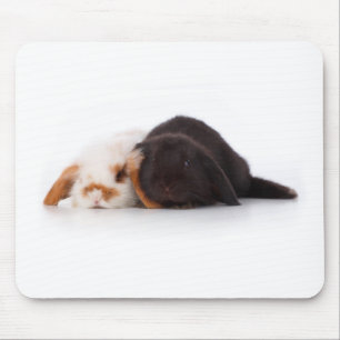 Mousepad Dois coelhos bonitos do bebê