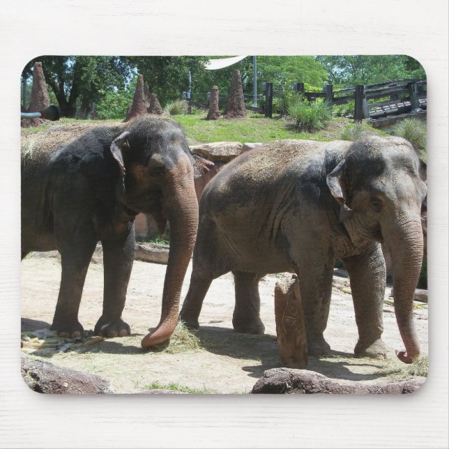Mousepad Dois Elefantes (Frente)