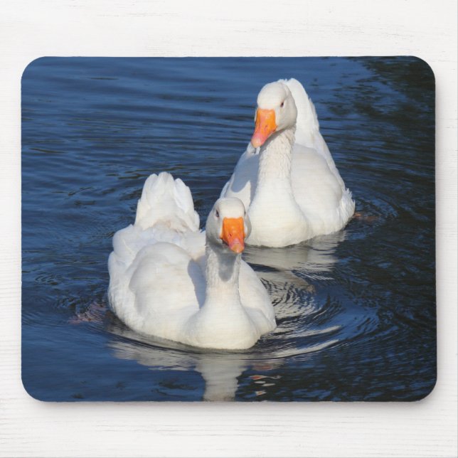 Mousepad Dois Emden Geese II (Frente)