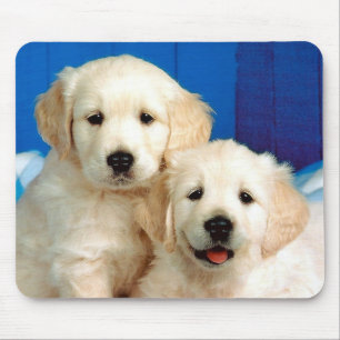 Mousepad Dois filhotes de cachorro de Labrador