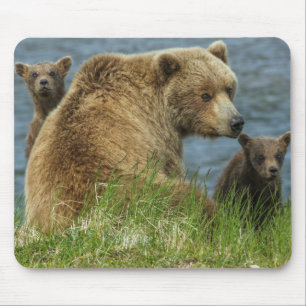 Mousepad Dois Filhotes de Urso Pardo com a Mãe perto da Águ