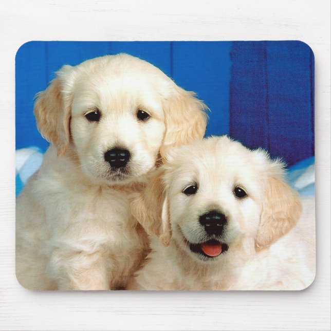 Mousepad Dois filhotes Labrador (Frente)