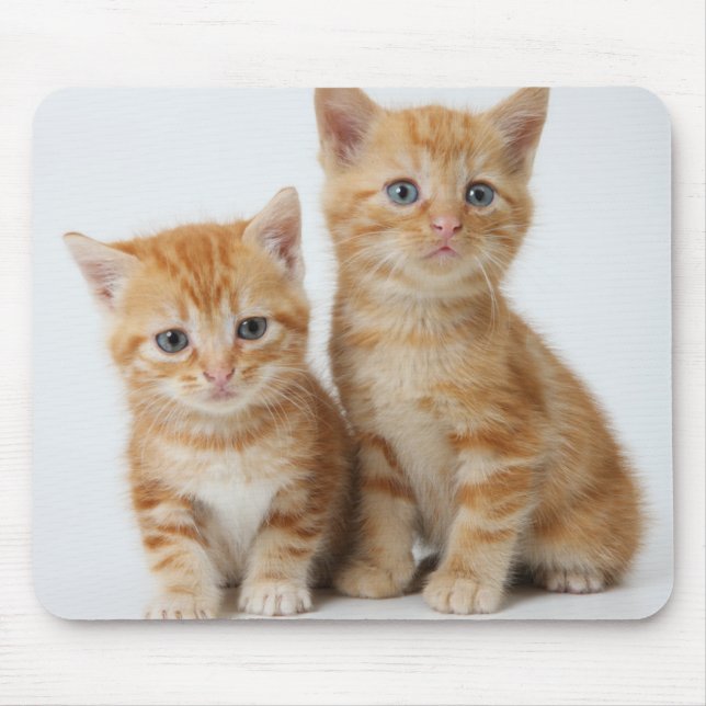 Mousepad Dois gatinhos adoráveis (Frente)