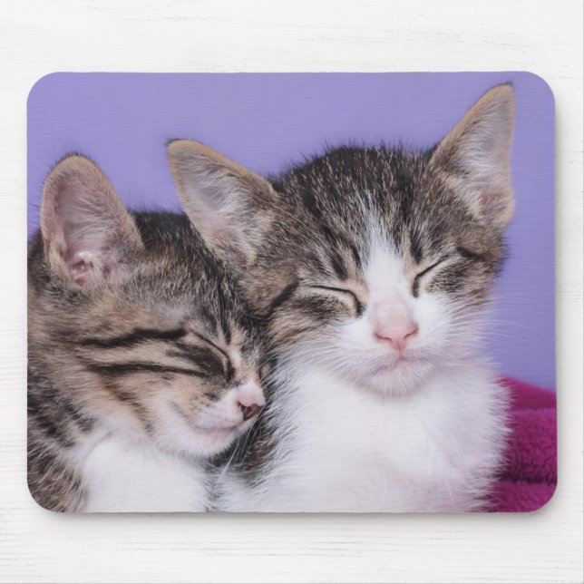 Mousepad Dois gatinhos bonitos que Napping (Frente)