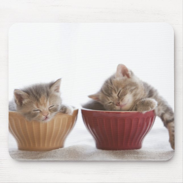 Mousepad Dois Gatinhos Dormindo em Boliches (Frente)