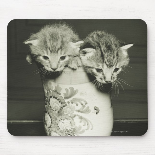 Mousepad Dois gatinhos escondidos no vaso, (B&W) (Frente)