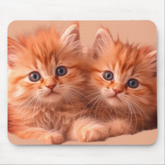 Mousepad Dois Gatinhos Muito Fofos em um Tablet de Desktop 