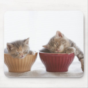 Mousepad Dois gatinhos que dormem em umas bacias
