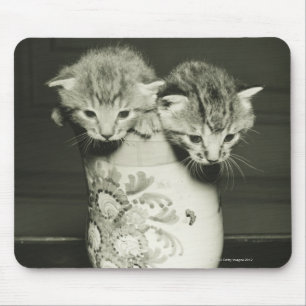 Mousepad Dois gatinhos que escondem no vaso, (B&W)