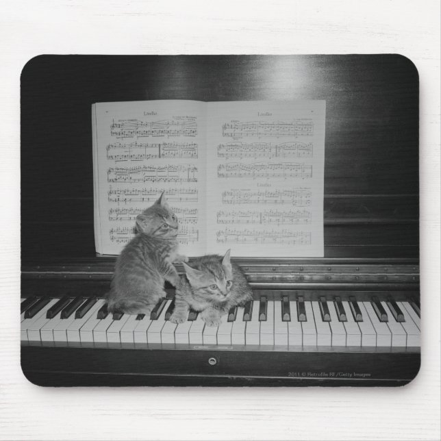 Mousepad Dois gatinhos que sentam-se no teclado de piano (Frente)