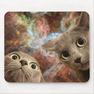 Mousepad Dois gatos cinzentos no espaço antes de uma