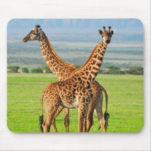Mousepad Dois girafas
