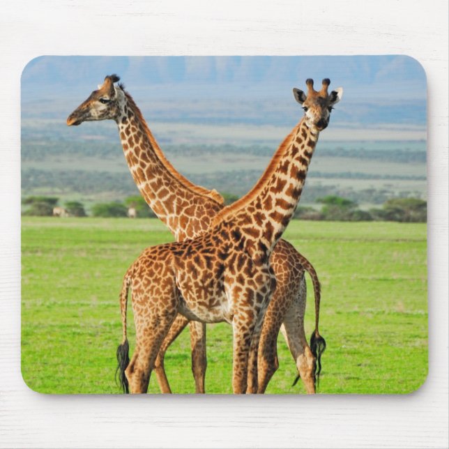 Mousepad Dois girafas (Frente)