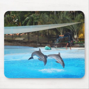 Mousepad Dois golfinhos