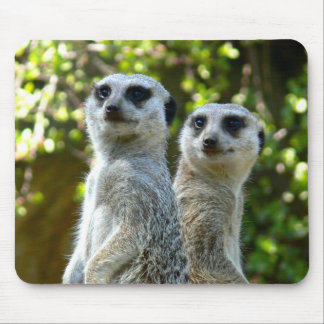 Mousepad Dois Meerkats