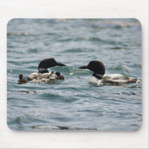 Mousepad Dois mergulhões-do-norte com dois bebês