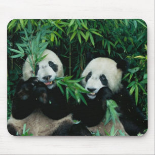 Mousepad Dois pandas comendo bambu juntos, Wolong