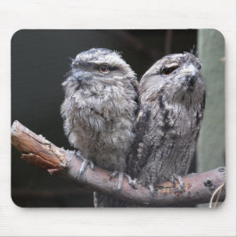 Mousepad Dois pássaros boca-de-sapo-marrom